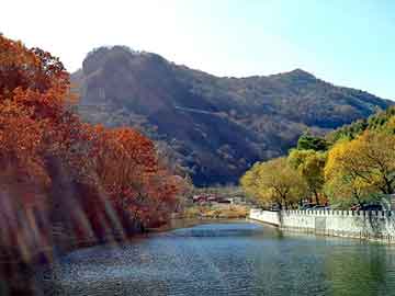 管家婆黑白马报图库，平和seo培训